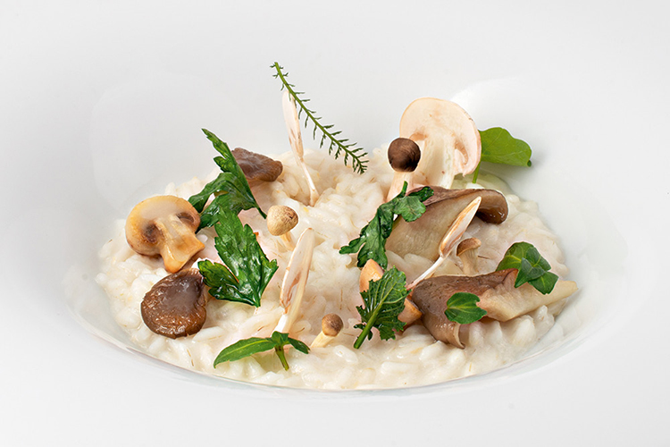 Mushroom Risotto