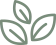 I Medicei Group